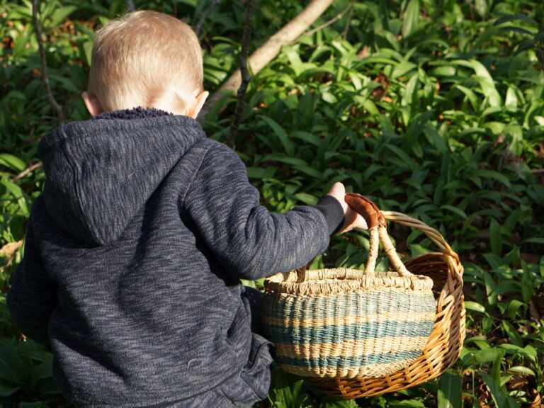 Collecting Wild Garlic with Toddlers
