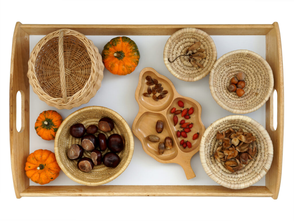 autumn found objects sorting tray