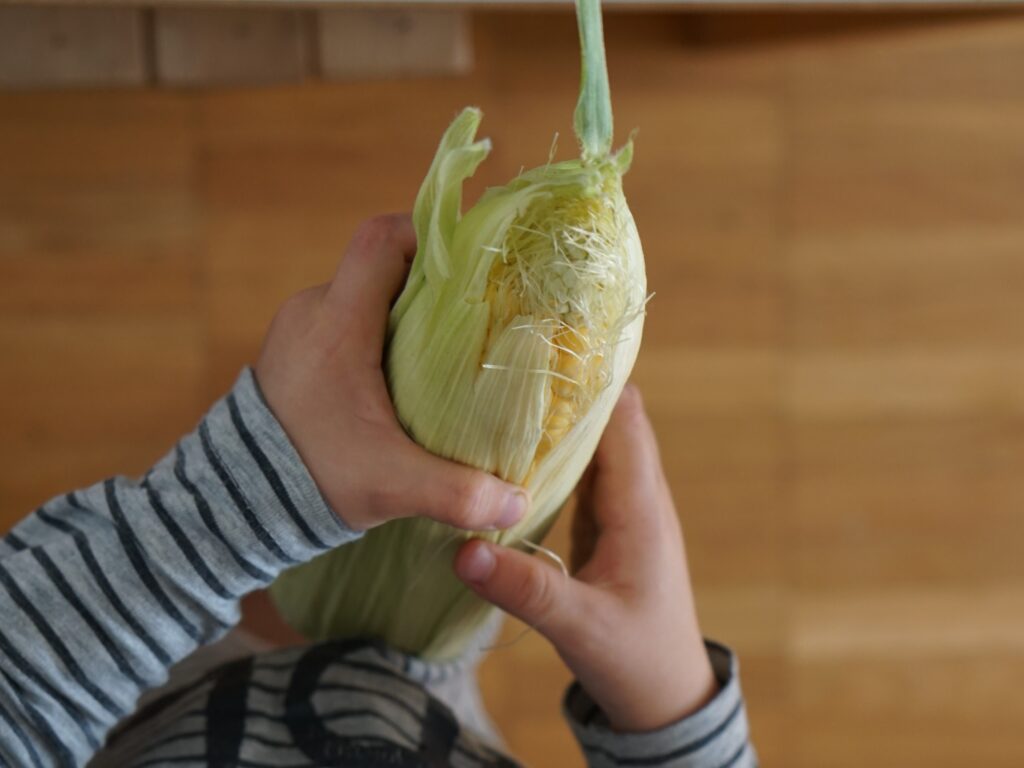 toddler holding corn