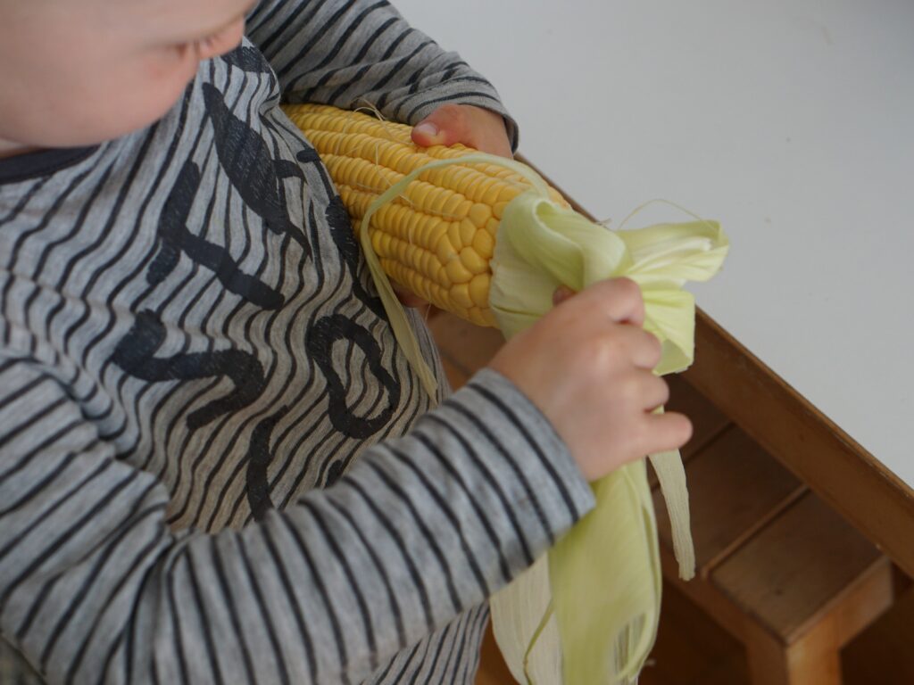 toddler pulling husk from corn