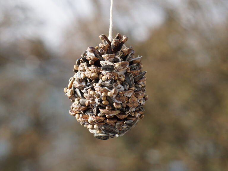 Making Pine Cone Bird Feeders with Toddlers