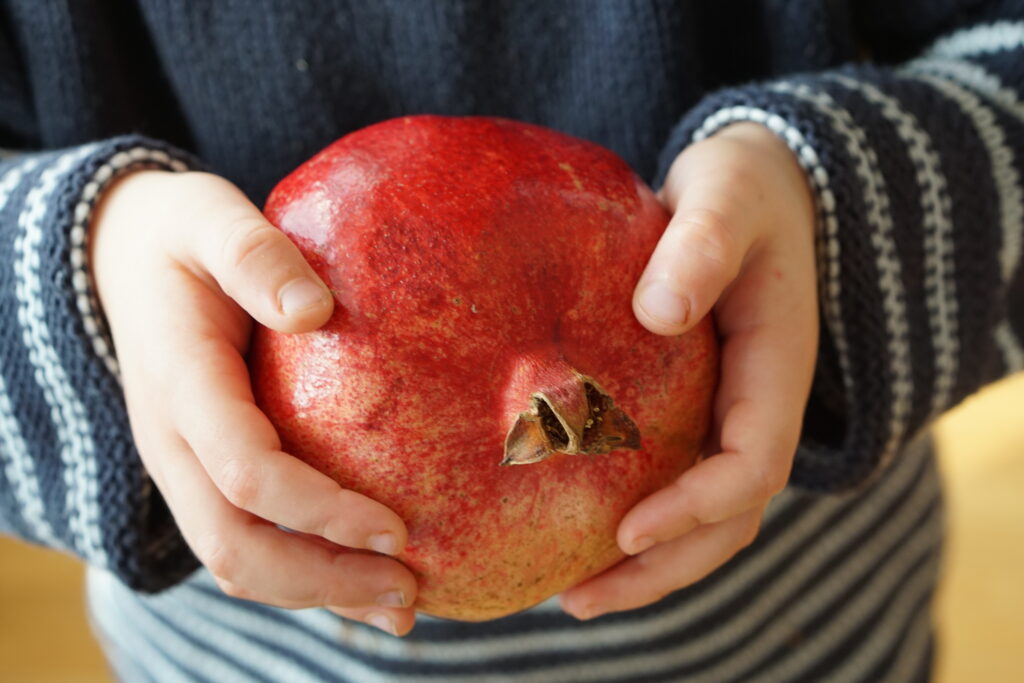 Toddler holding pomegranate