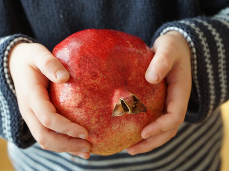 Food Preparation with Toddlers: Deseeding Pomegranates