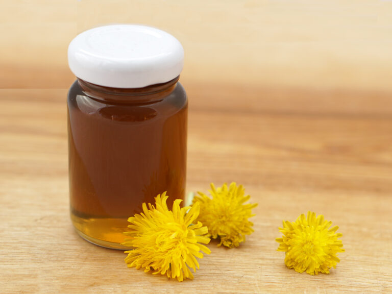 Food Preparation with Toddlers: Dandelion Honey